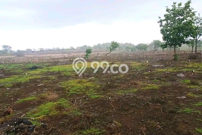Lahan untuk Dijual Lokasi Sumbawa, Sumbawa Luas 10000m2 SHM Lahan untuk Dijual Lokasi Sumbawa, Sumbawa Luas 10000m2 SHM