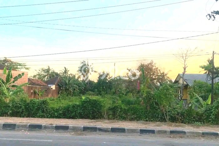 Lahan untuk Dijual di Sumbawa Sumbawa Luas 2800m2 Lahan untuk Dijual di Sumbawa Sumbawa Luas 2800m2