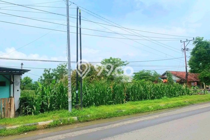 Lahan untuk Dijual di Sumbawa Sumbawa Luas 2800m2 Lahan untuk Dijual di Sumbawa Sumbawa Luas 2800m2