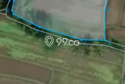 Tanah untuk Dijual Lokasi Penebel, Tabanan Luas 2100m2 SHM Tanah untuk Dijual Lokasi Penebel, Tabanan Luas 2100m2 SHM