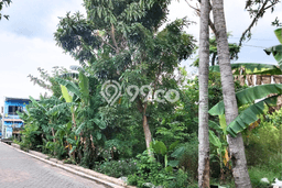Tanah Kavling di Pedurungan Dijual dengan Luas 665m2 Tanah Kavling di Pedurungan Dijual dengan Luas 665m2