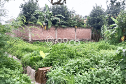Tanah untuk Dijual Lokasi Pedurungan, Semarang Luas 92m2 SHM Tanah untuk Dijual Lokasi Pedurungan, Semarang Luas 92m2 SHM
