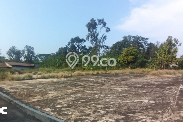 Tanah Dijual Lokasi Strategis di Batang dengan Luas 26070m2 Tanah Dijual Lokasi Strategis di Batang dengan Luas 26070m2