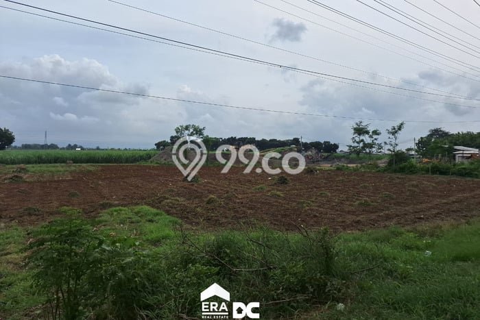 Jual Tanah Area Berkembang Kawasan Margorejo, Luas 12850m², Akses Margorejo, Pati, Pati Jual Tanah Area Berkembang Kawasan Margorejo, Luas 12850m², Akses Margorejo, Pati, Pati