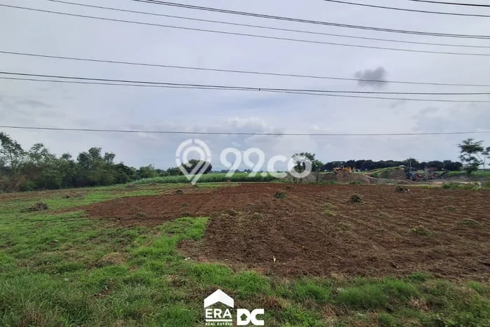 Jual Tanah Area Berkembang Kawasan Margorejo, Luas 12850m², Akses Margorejo, Pati, Pati Jual Tanah Area Berkembang Kawasan Margorejo, Luas 12850m², Akses Margorejo, Pati, Pati