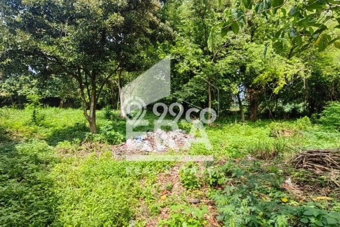 Tanah Dijual Lokasi Lasem Rembang - Tanah Dijual Lokasi Lasem Rembang -