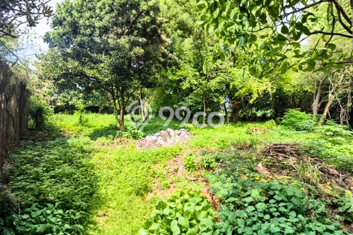 Tanah Dijual Lokasi Lasem Rembang - Tanah Dijual Lokasi Lasem Rembang -