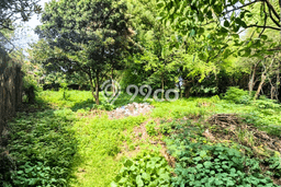 Tanah Dijual Lokasi Lasem, Rembang dengan Luas Tanah 1500m2 dan Status - Tanah Dijual Lokasi Lasem, Rembang dengan Luas Tanah 1500m2 dan Status -