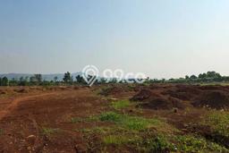Lahan Disewakan di Gringsing, Batang, Luas 38000m2 - Lahan Disewakan di Gringsing, Batang, Luas 38000m2 -