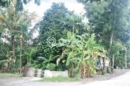 Kavling Tanah di Pedurungan Dijual Luas 567m2 Legalitas SHM Kavling Tanah di Pedurungan Dijual Luas 567m2 Legalitas SHM