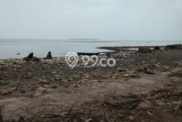 Untuk Dijual Tanah di Panimbang Pandeglang Luas 3500m2 SHM Untuk Dijual Tanah di Panimbang Pandeglang Luas 3500m2 SHM