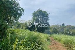 Kavling Tanah di Rajeg Dijual Luas 52000m2 Legalitas SHM Kavling Tanah di Rajeg Dijual Luas 52000m2 Legalitas SHM