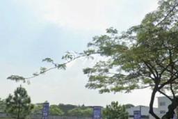 Tanah Kavling Dijual di Tangerang dengan Spesifikasi 3800m2 Tanah Kavling Dijual di Tangerang dengan Spesifikasi 3800m2