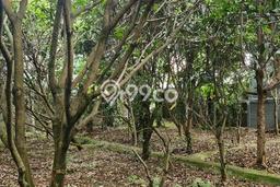 Tanah Dijual di Tangerang Seluas 342m2 Strategis Tanah Dijual di Tangerang Seluas 342m2 Strategis