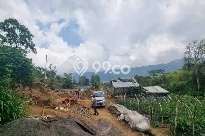 Tanah Dijual di Buleleng Seluas 950m2 Strategis Tanah Dijual di Buleleng Seluas 950m2 Strategis