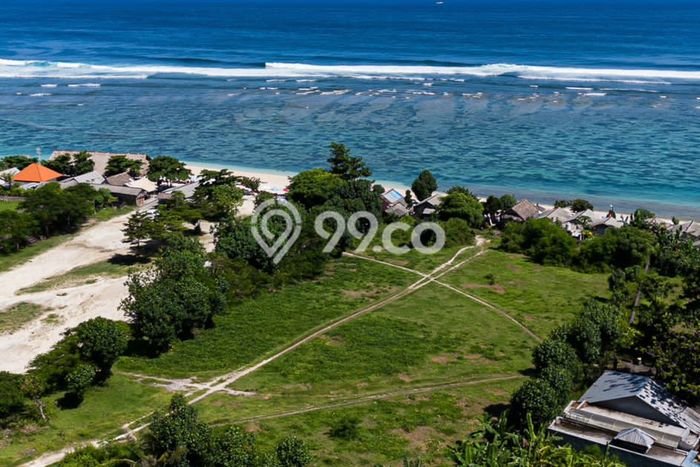 Jarang Ada! Tanah Kavling Disewakan di Badung 4800m2 Jarang Ada! Tanah Kavling Disewakan di Badung 4800m2