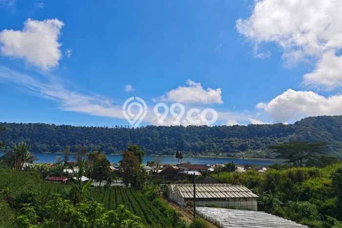 Tanah Dijual di Buleleng Seluas 950m2 Strategis Tanah Dijual di Buleleng Seluas 950m2 Strategis