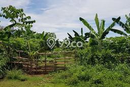 Lahan Investasi Lokasi Rangkasbitung Lebak SHM Lahan Investasi Lokasi Rangkasbitung Lebak SHM