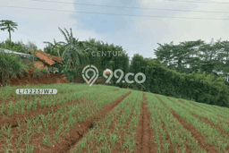Tanah Kavling untuk Dijual di Cimenyan Bandung 10996m2 Tanah Kavling untuk Dijual di Cimenyan Bandung 10996m2