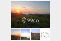 Lahan Kosong Dijual di Wanokaka, Sumba Barat, Luas 17180m2 Area Strategis Lahan Kosong Dijual di Wanokaka, Sumba Barat, Luas 17180m2 Area Strategis