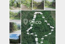 Lahan Investasi Lokasi Rangkasbitung Lebak SHM Lahan Investasi Lokasi Rangkasbitung Lebak SHM