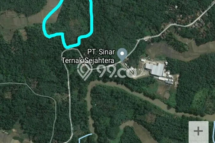 Lahan Investasi Lokasi Rangkasbitung Lebak SHM Lahan Investasi Lokasi Rangkasbitung Lebak SHM