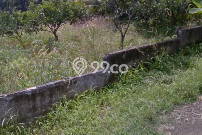 Lahan Dijual Lokasi Strategis di Bogor dengan Luas 2000m2 Lahan Dijual Lokasi Strategis di Bogor dengan Luas 2000m2
