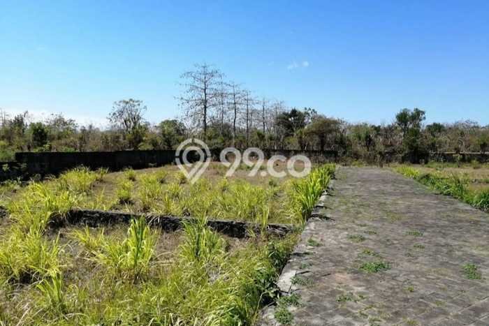 Tanah Dijual di Badung Seluas 550m2 Strategis Tanah Dijual di Badung Seluas 550m2 Strategis