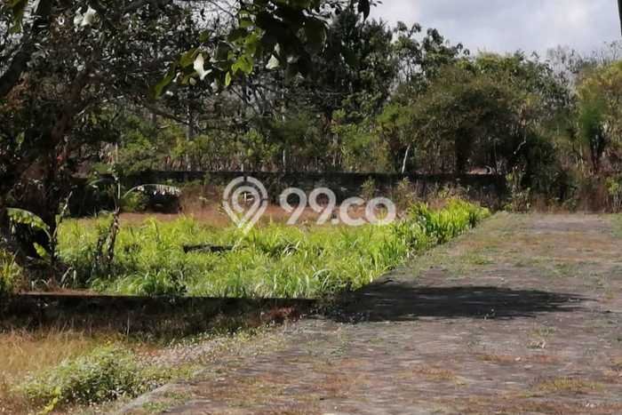 Tanah Dijual di Badung Seluas 550m2 Strategis Tanah Dijual di Badung Seluas 550m2 Strategis