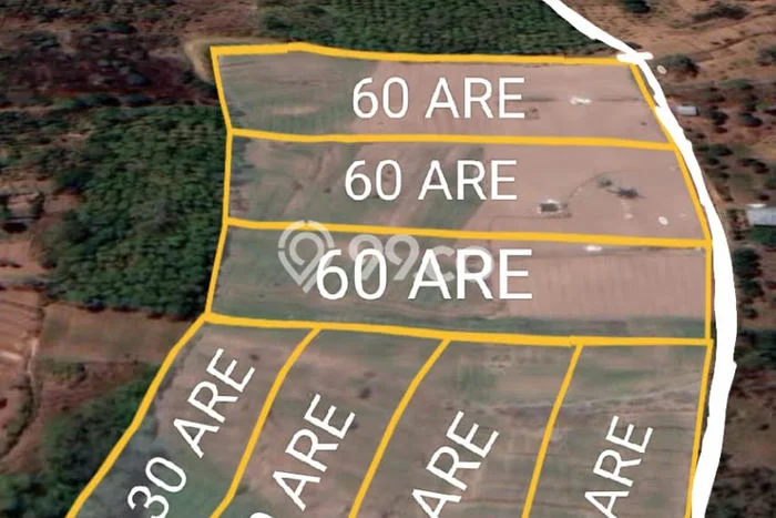 Tanah Dijual di Buleleng Seluas 30000m2 Strategis Tanah Dijual di Buleleng Seluas 30000m2 Strategis