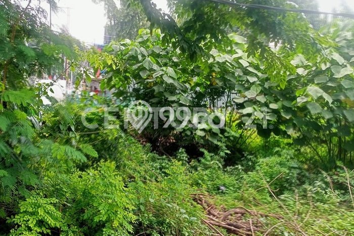 Tanah Kavling Dijual di Bintaro, Jakarta Selatan dengan Luas Tanah 810m2 Tanah Kavling Dijual di Bintaro, Jakarta Selatan dengan Luas Tanah 810m2