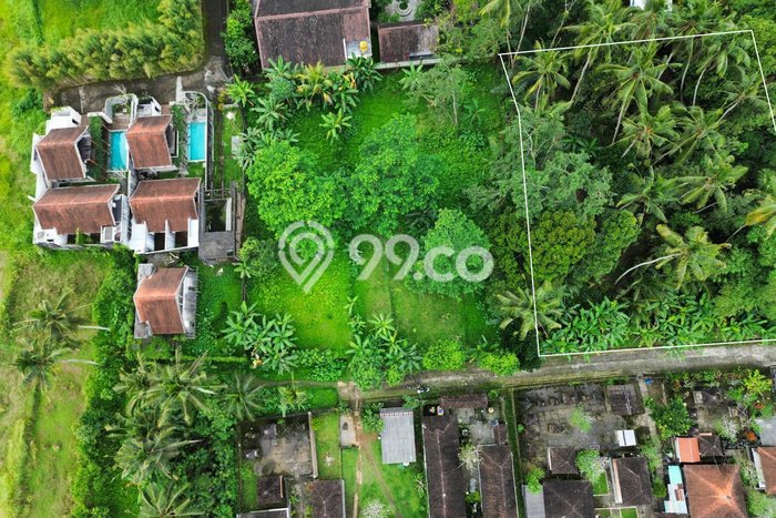 Kavling Tanah Lokasi Strategis di Ubud, Gianyar Disewakan 1500m2 Kavling Tanah Lokasi Strategis di Ubud, Gianyar Disewakan 1500m2