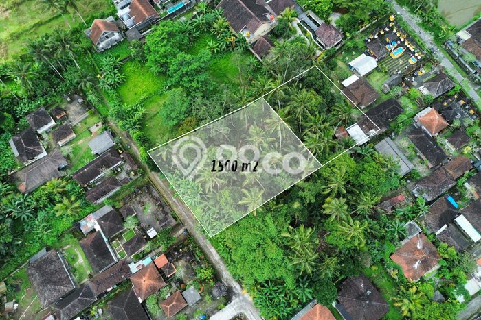Kavling Tanah Lokasi Strategis di Ubud, Gianyar Disewakan 1500m2 Kavling Tanah Lokasi Strategis di Ubud, Gianyar Disewakan 1500m2