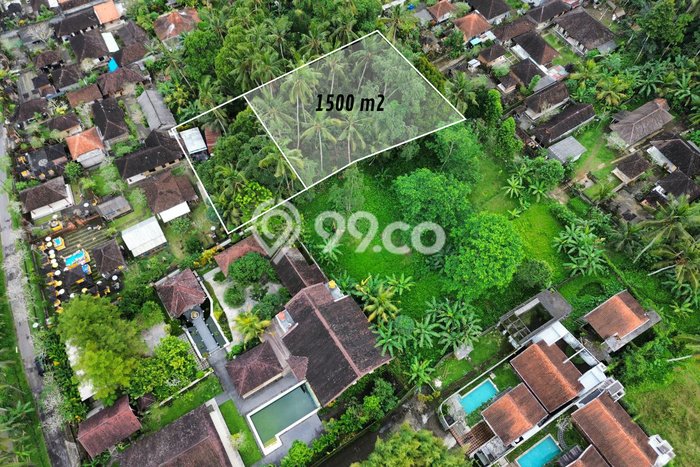 Kavling Tanah Lokasi Strategis di Ubud, Gianyar Disewakan 1500m2 Kavling Tanah Lokasi Strategis di Ubud, Gianyar Disewakan 1500m2