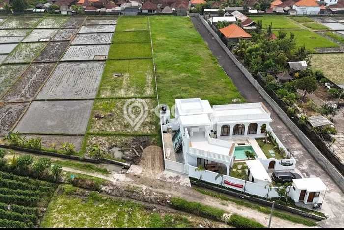 Tanah Dijual Area Strategis di Kelating Tabanan 1975m2 Tanah Dijual Area Strategis di Kelating Tabanan 1975m2