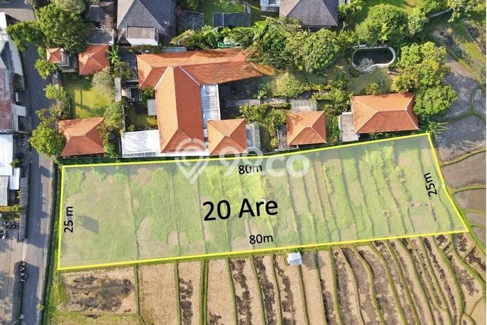 Kavling Tanah untuk Dijual di Umalas, Badung, Luas 2000m2 Kavling Tanah untuk Dijual di Umalas, Badung, Luas 2000m2