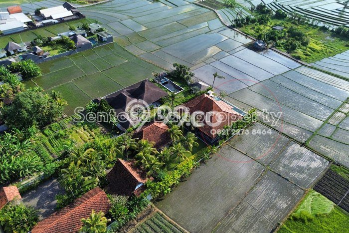 Hunian Mewah LB 600m2 Siap Huni Desain Elegan di Nyanyi, Badung Hunian Mewah LB 600m2 Siap Huni Desain Elegan di Nyanyi, Badung