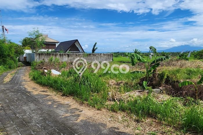 Tanah Kavling Dijual di Cemagi, Badung dengan Luas Tanah 500m2 Tanah Kavling Dijual di Cemagi, Badung dengan Luas Tanah 500m2