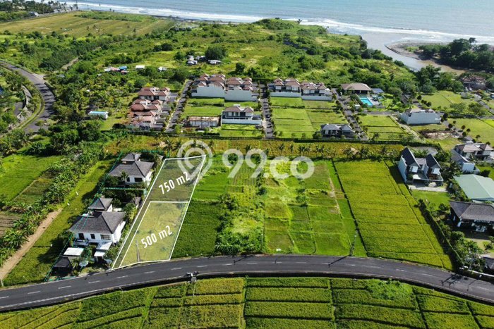 Tanah Dijual Area Strategis di Kedungu Tabanan 750m2 Tanah Dijual Area Strategis di Kedungu Tabanan 750m2