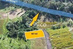 Lahan Strategis di Ubud Dijual dengan Luas 467m2 Lahan Strategis di Ubud Dijual dengan Luas 467m2