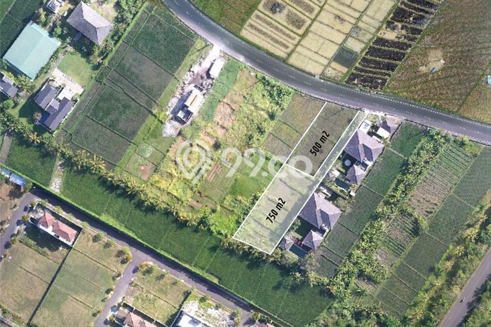 Tanah Dijual Area Strategis di Kedungu Tabanan 750m2 Tanah Dijual Area Strategis di Kedungu Tabanan 750m2