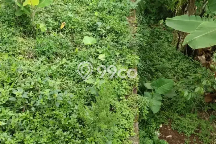Tanah Kavling untuk Dijual di Cilengkrang Bandung 161m2 Tanah Kavling untuk Dijual di Cilengkrang Bandung 161m2