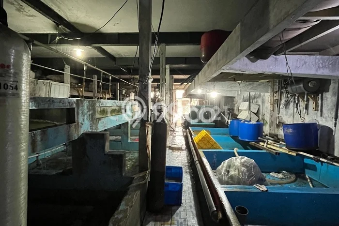 Gudang Dijual di Prime Area Tangerang Luas 1200m2 Gudang Dijual di Prime Area Tangerang Luas 1200m2