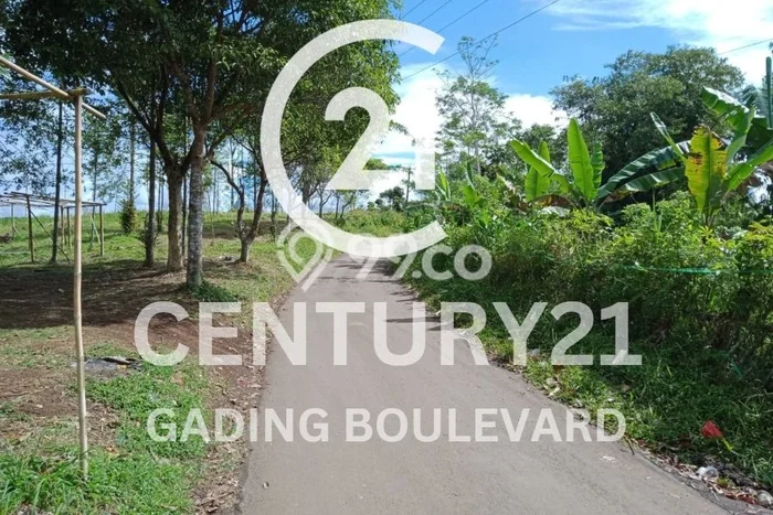 Tanah Strategis Dijual di Nagrak Sukabumi 60000m2 Tanah Strategis Dijual di Nagrak Sukabumi 60000m2
