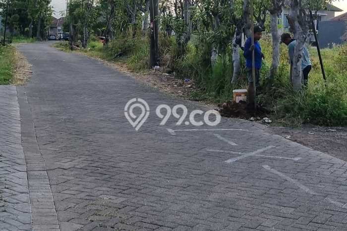 Jarang Ada! Tanah di Pandaan Punya Luas 195m2 SHM Jarang Ada! Tanah di Pandaan Punya Luas 195m2 SHM
