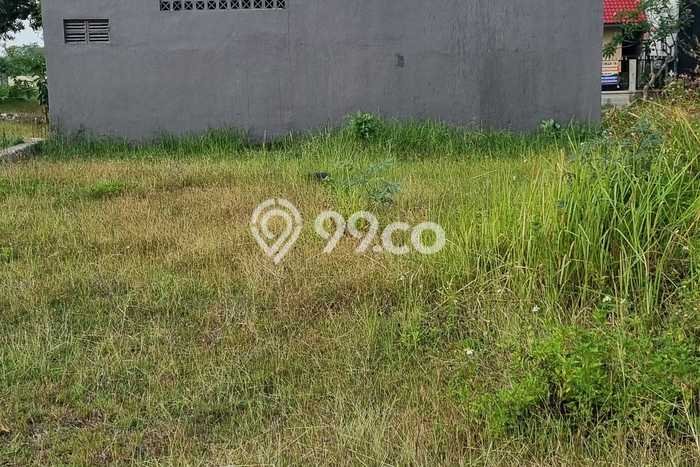 Jarang Ada! Tanah di Pandaan Punya Luas 195m2 SHM Jarang Ada! Tanah di Pandaan Punya Luas 195m2 SHM