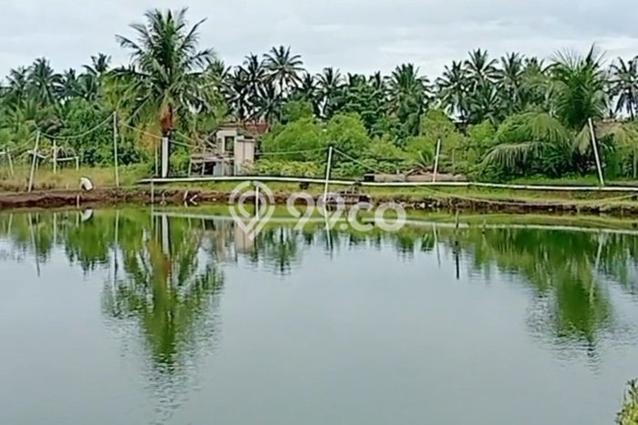Tanah Komersial Dijual di Parigi Ciamis 20000m2 Tanah Komersial Dijual di Parigi Ciamis 20000m2