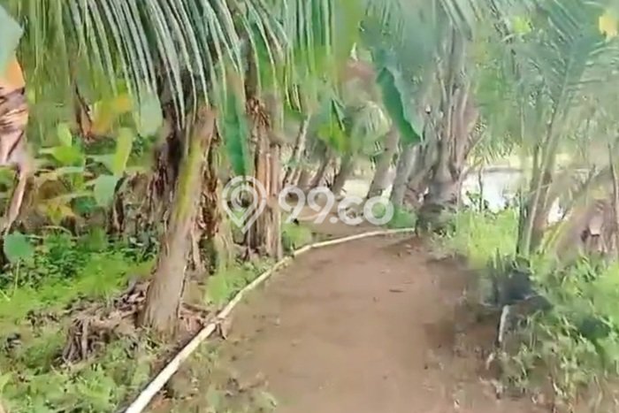 Tanah Komersial Dijual di Parigi Ciamis 20000m2 Tanah Komersial Dijual di Parigi Ciamis 20000m2