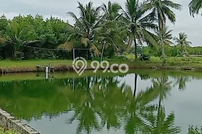 Tanah Komersial Dijual di Parigi Ciamis 20000m2 Tanah Komersial Dijual di Parigi Ciamis 20000m2