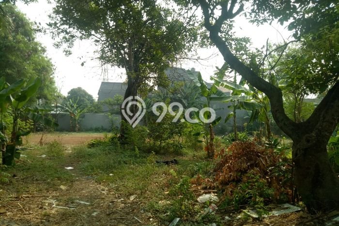Tanah Dijual Lokasi Strategis di Bekasi dengan Luas 3000m2 Tanah Dijual Lokasi Strategis di Bekasi dengan Luas 3000m2